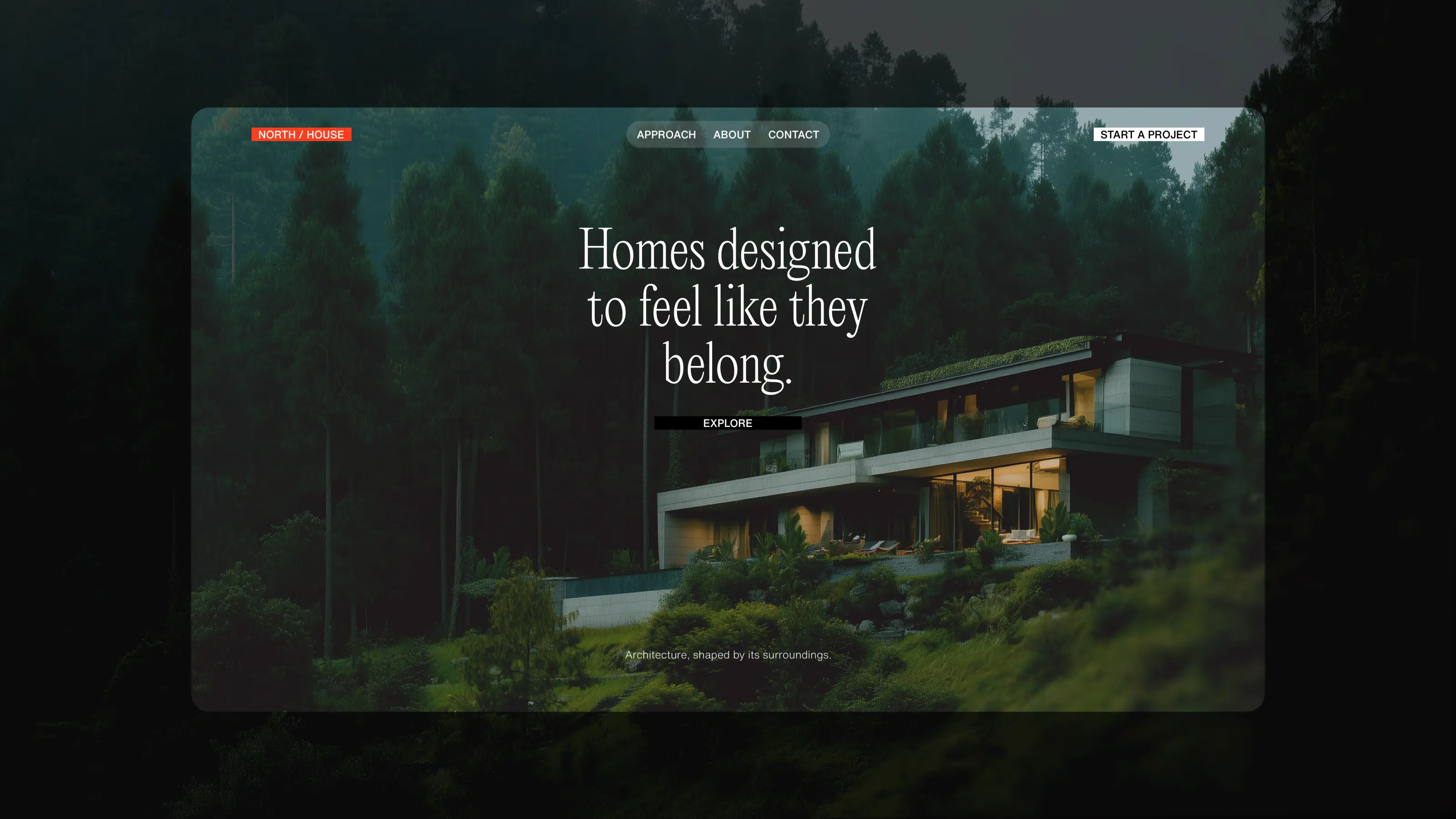 Fiddle.Digital Design Agency